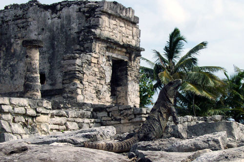 Tulum (Quintana Roo) 